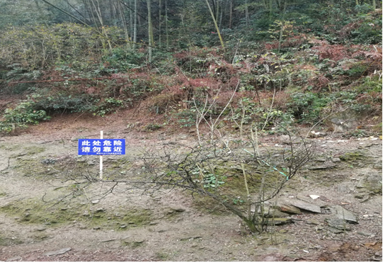 QQ图片20191227165954