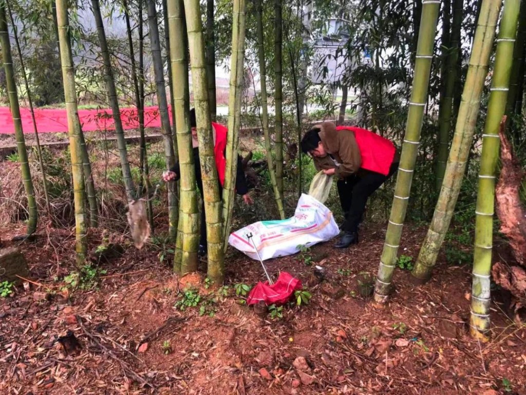 微信图片_20210308155418