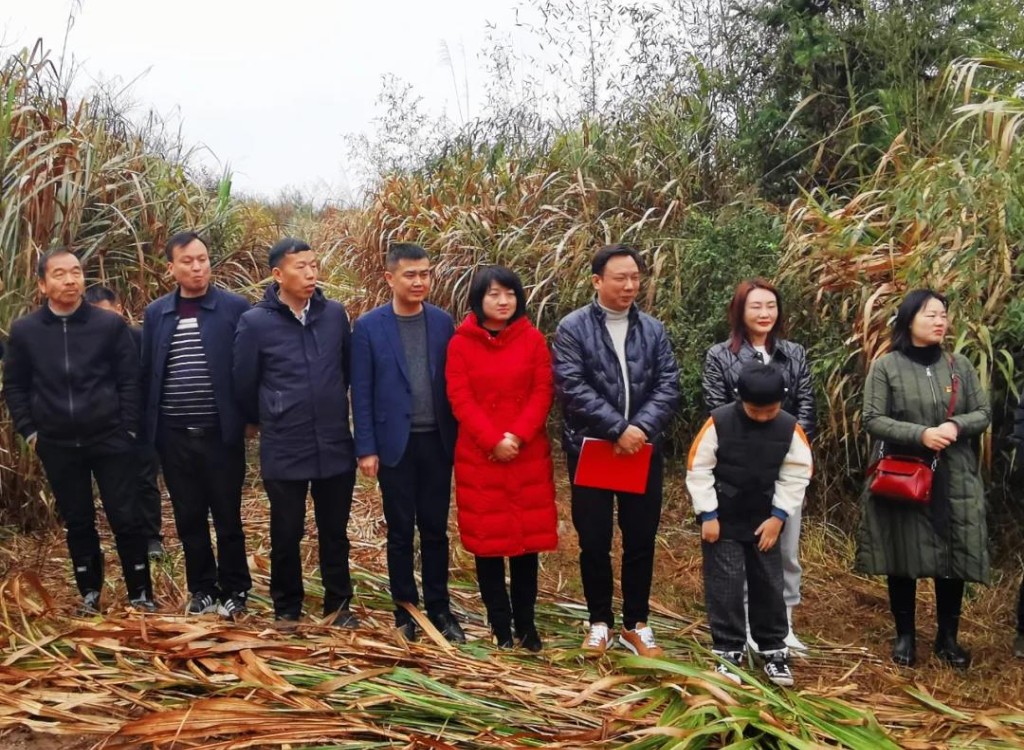 微信图片_20210308160248