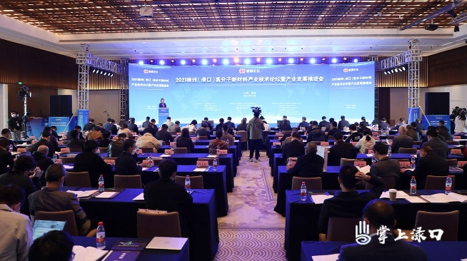 高分子新材料产业发展推进会