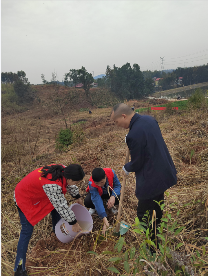 微信截图_20220316093522