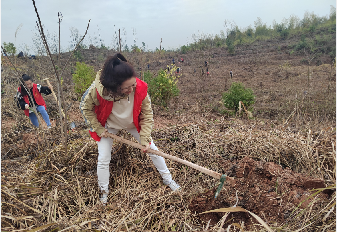 微信截图_20220316093544