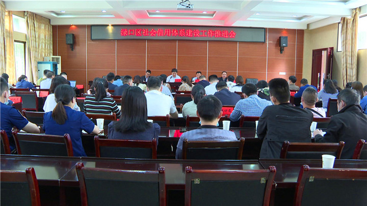 渌口区召开全区社会信用体系建设工作推进会