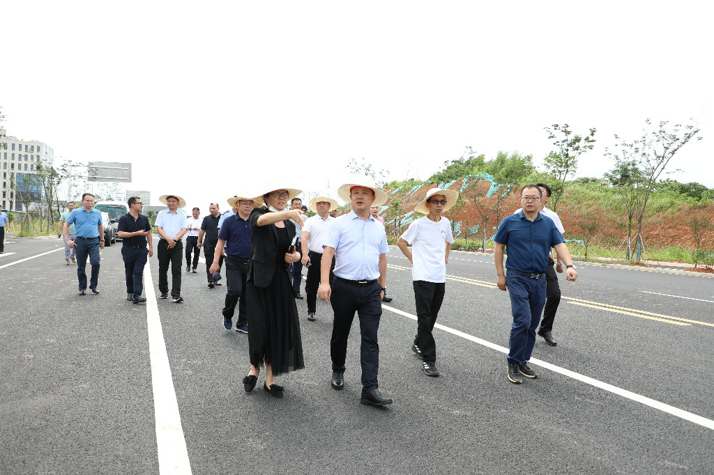 李晓彤对城区次干道路建设进行现场调度