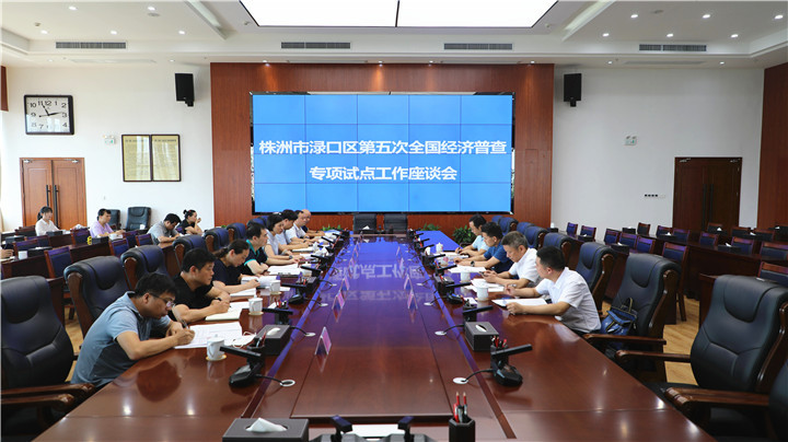 省统计局一行来区调研指导第五次全国经济普查专项试点工作