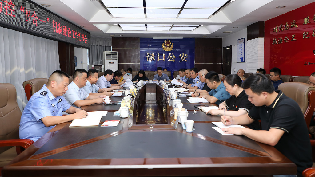 李晓彤调研区社会治理风险防控“N合一”机制建设工作