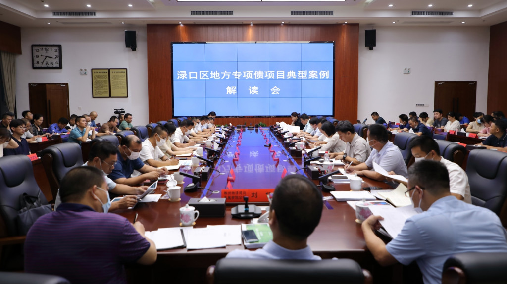 渌口区召开地方专项债项目典型案例解读会.JPG