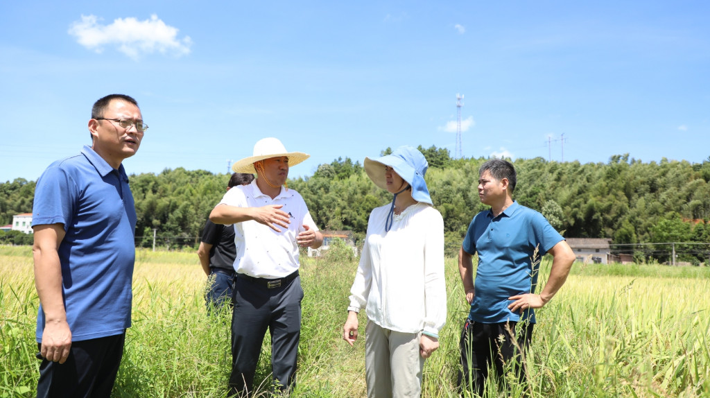 赖晓智调研督导项目建设和抗旱工作