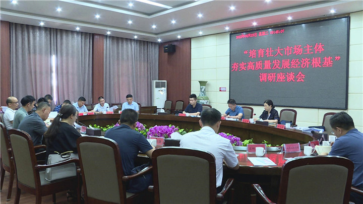 朱胜辉一行来渌口区调研市场主体培育年和民主监督工作