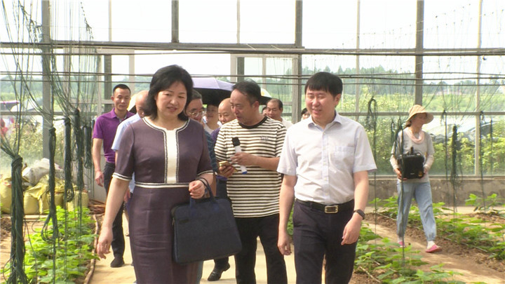 全市党外代表人士来渌口
区考察农业产业项目