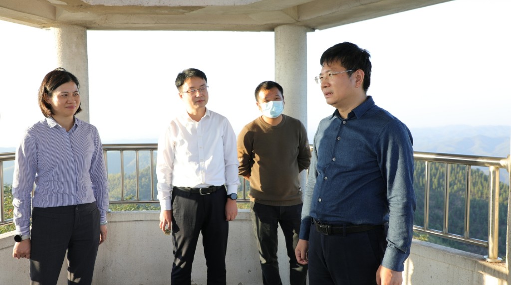 王卫安一行来渌口区开展市级林长巡林并督导森林防灭火工作