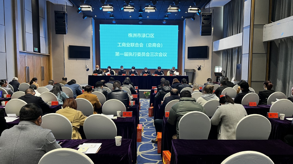 区工商联召开第一届执行委员会三次会议