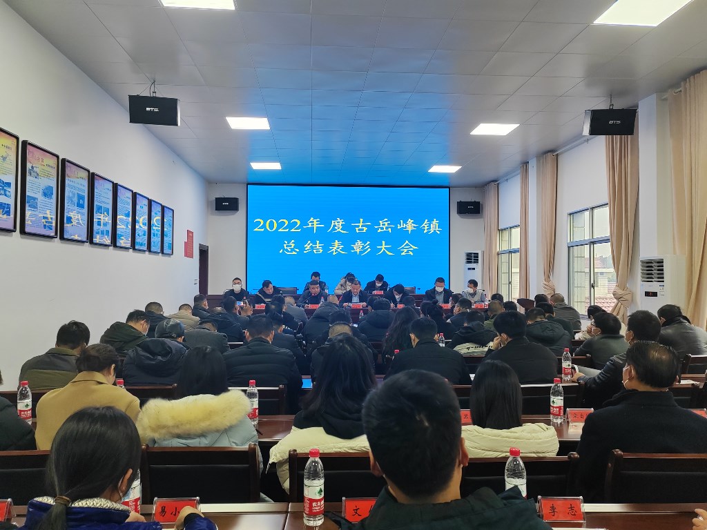1.14古岳峰镇召开2022年度总结表彰大会1