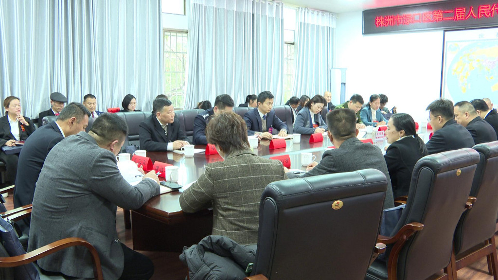 赖晓智参加区二届人大三次会议第四代表团审议