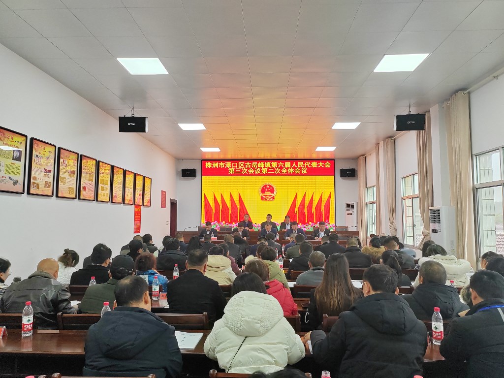 2.12第六届人大第三次会议-第二次全体会议2