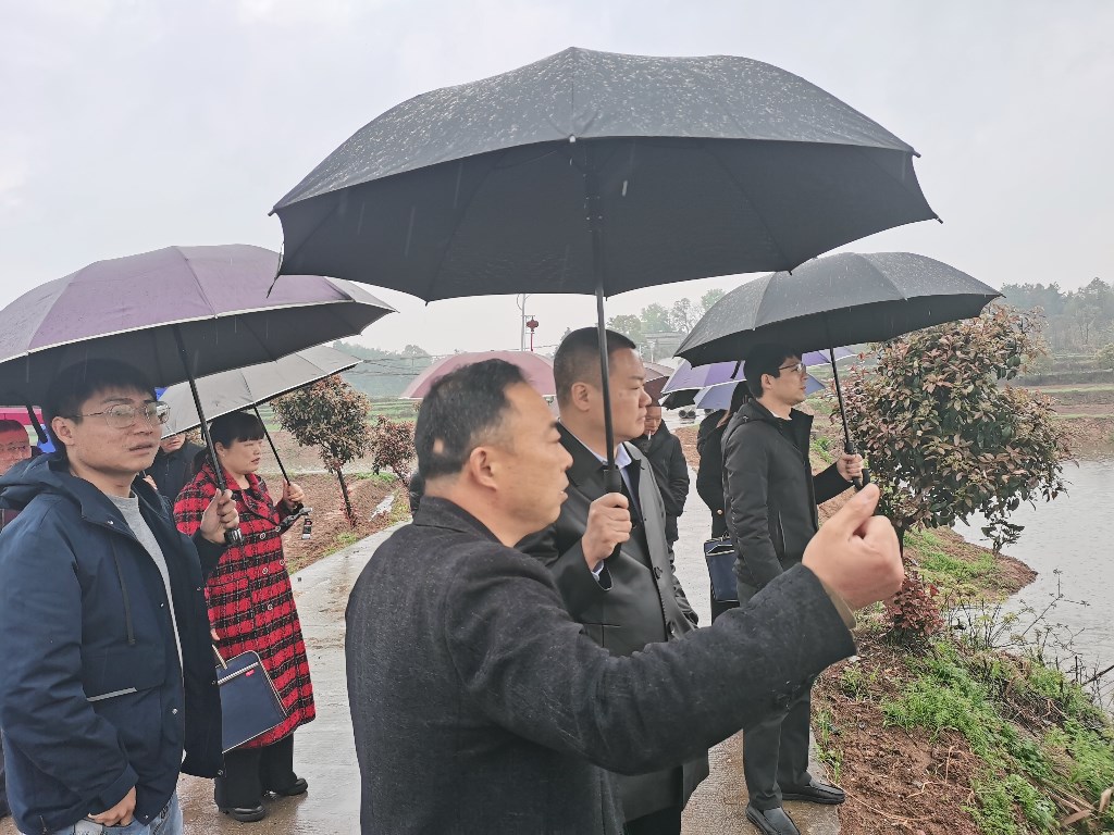 3.25粮食生产看学议