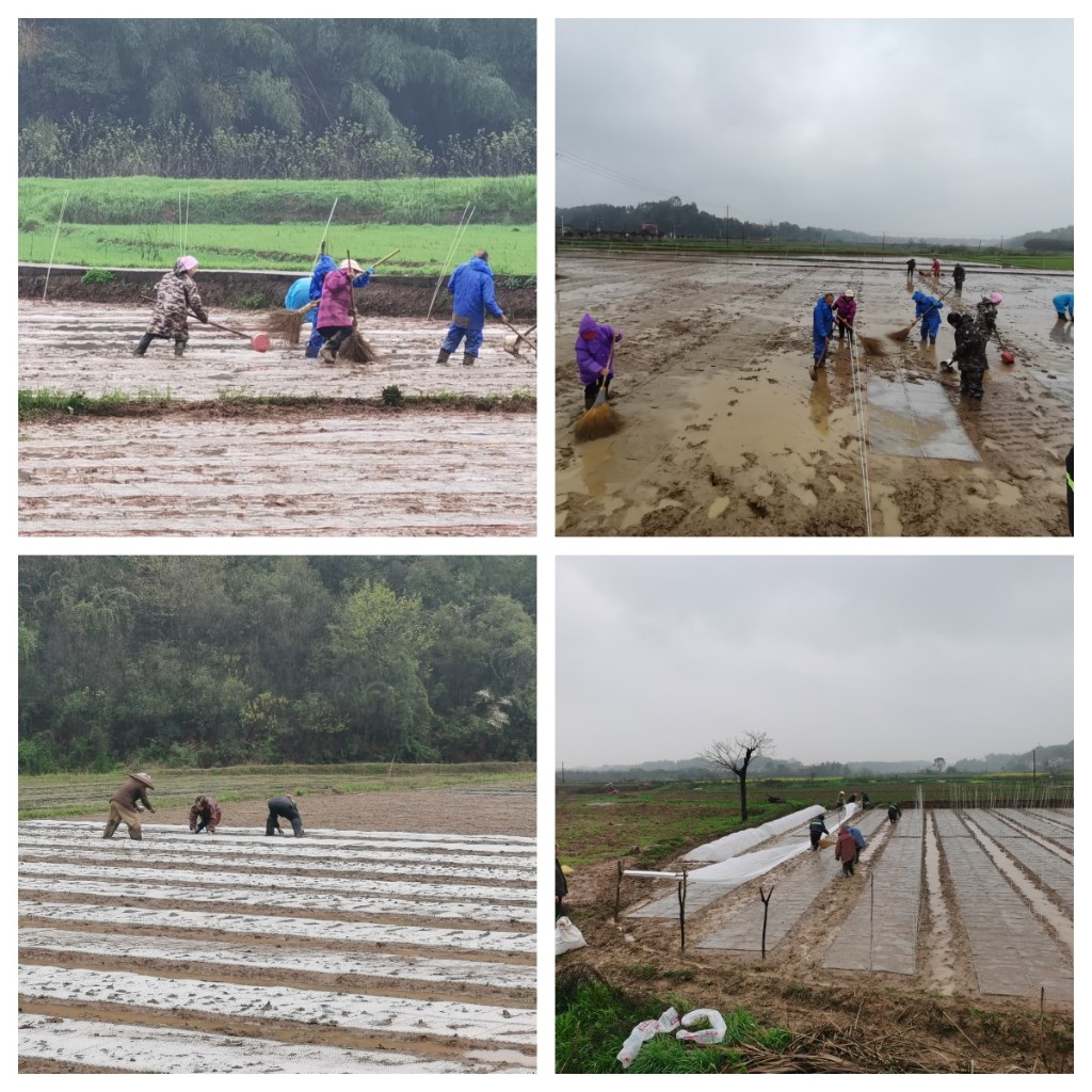 春耕备耕活动现场