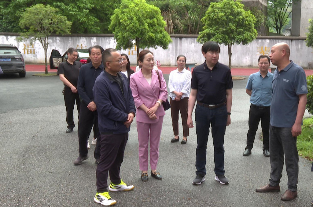 渌口区第二届人大代表龙潭镇代表小组调研教育工作