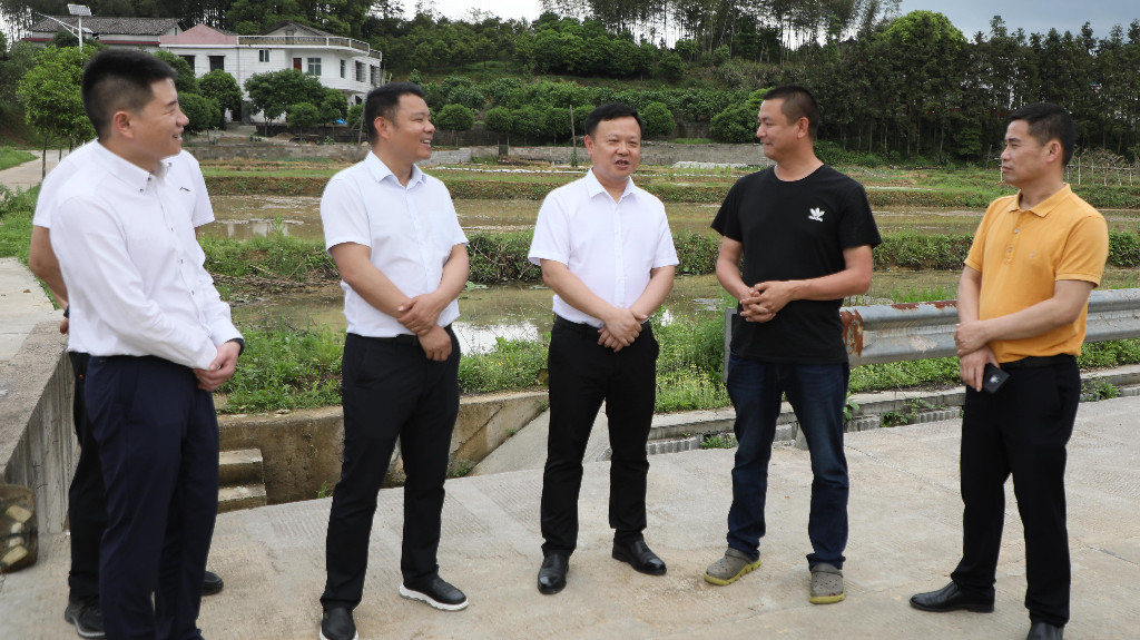 李晓彤到镇村调研春耕生产工作