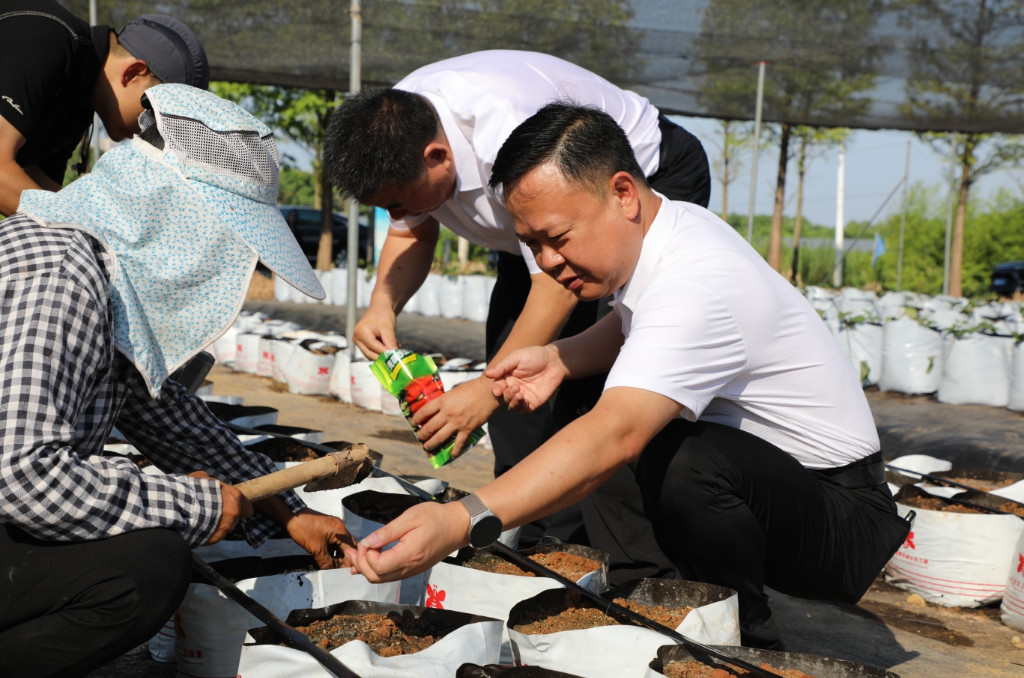 李晓彤到渌口镇松西子社区调研