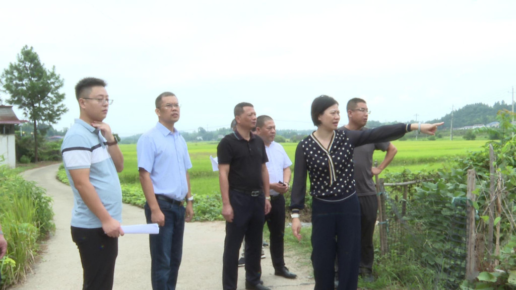 赖晓智调研渌水流域综合治理项目
