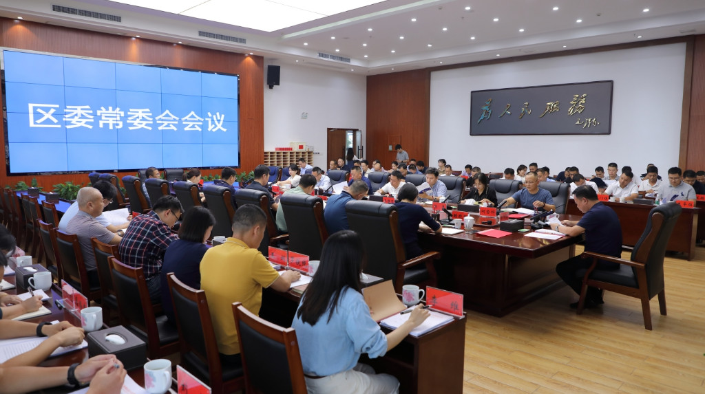 区委常委会19次会议.JPG