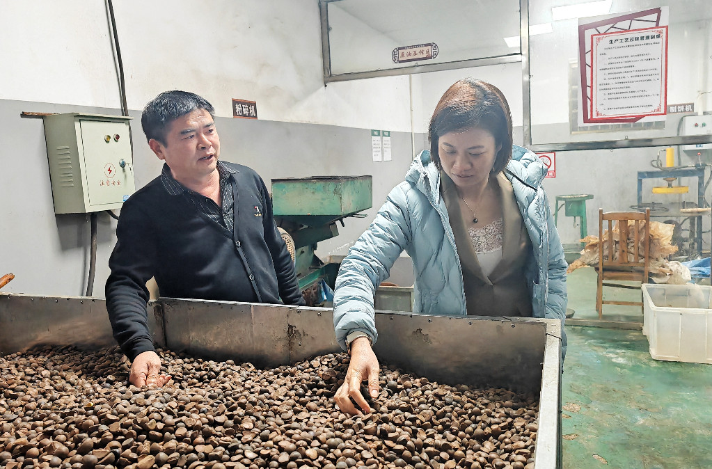 赖晓智调研油茶产业发展