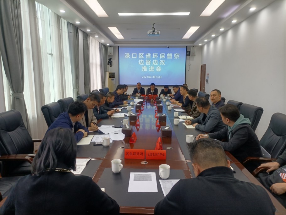 渌口区召开省环保督察边督边改推进会