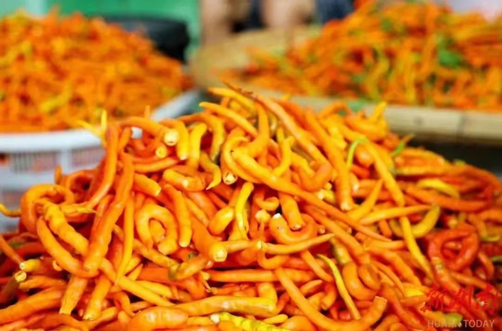 微信图片_20240408140924