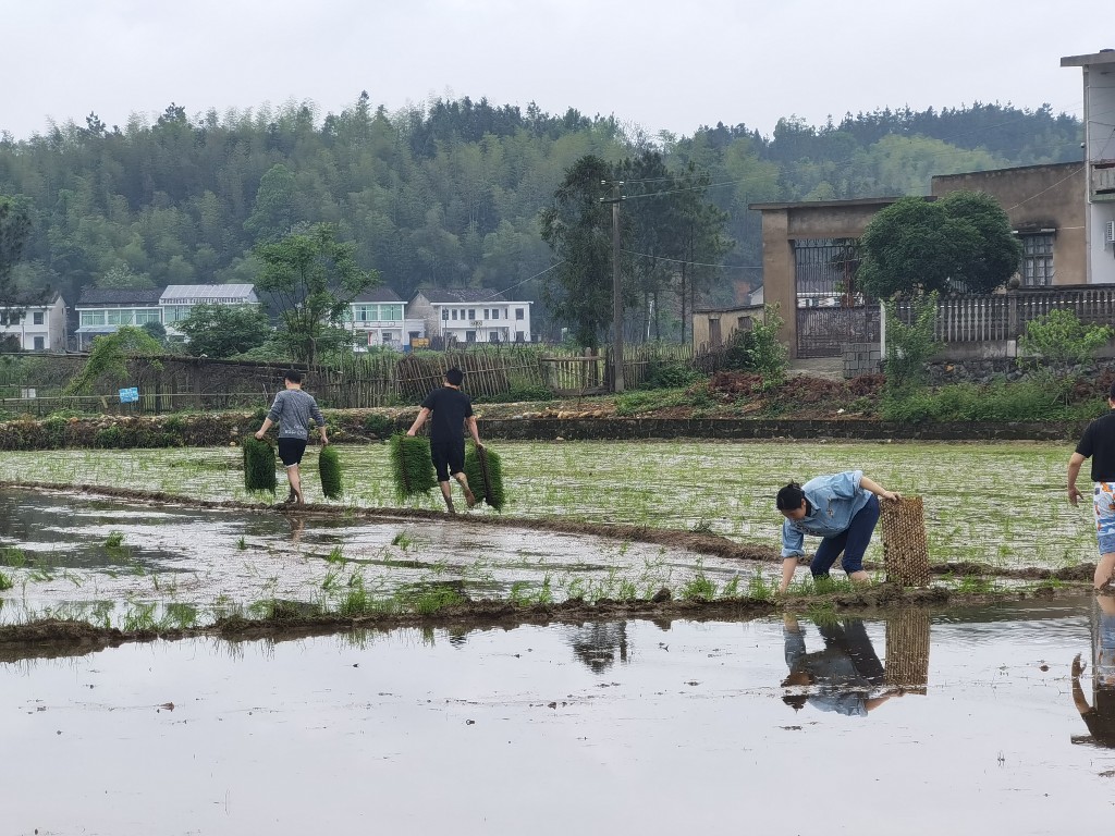 微信图片_20240419110038