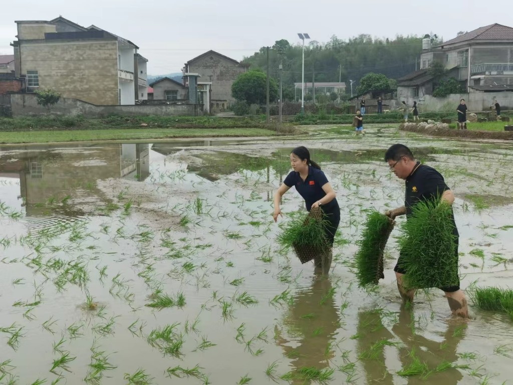 0e513bd03038ae1ee810488061e10c9