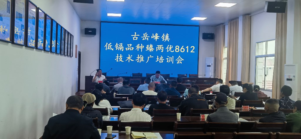 微信图片_20240510103336