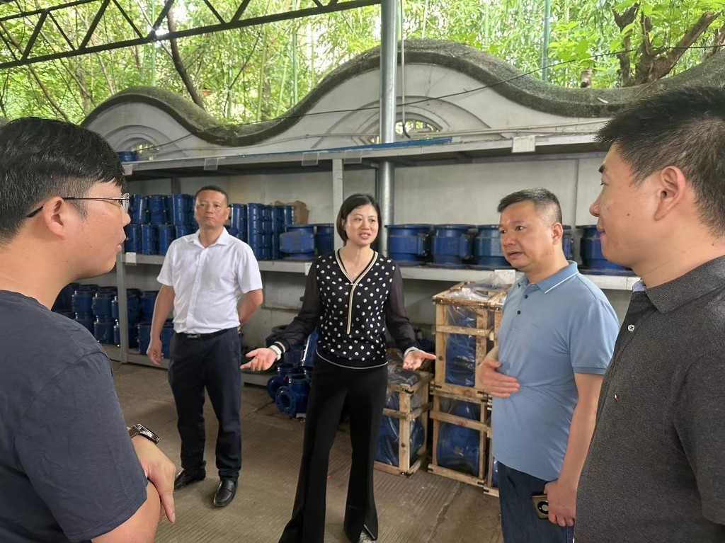 渌口区区委副书记、区长赖晓智到区生环委办开展现场办...