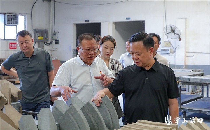 领导乡镇调研图1