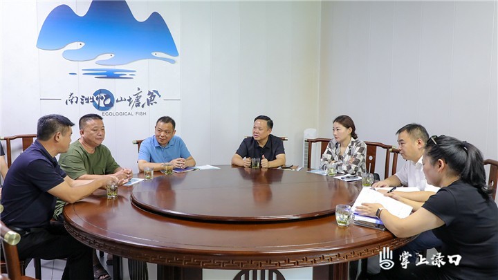 领导乡镇调研图2