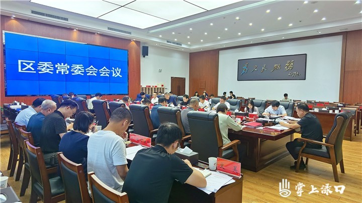 区委常委会15次会图片1