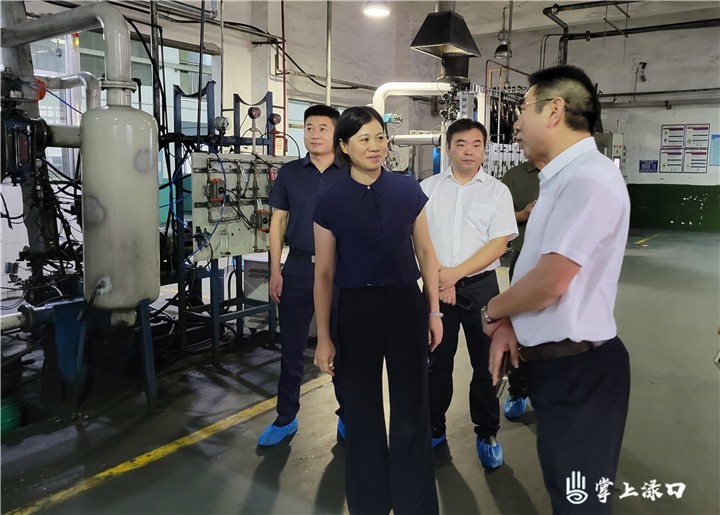 晓智区长督导图1