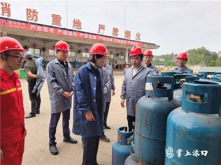 晓智区长督导图2