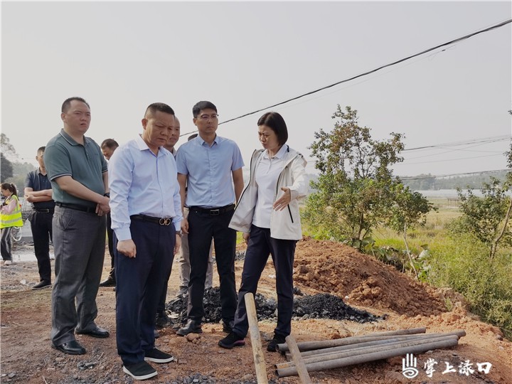 晓智区长古岳峰调研1