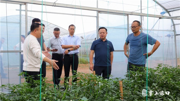 调研松西子产业1