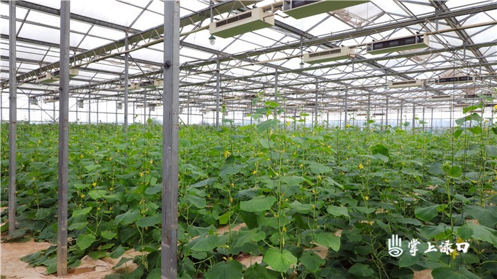 调研松西子产业2