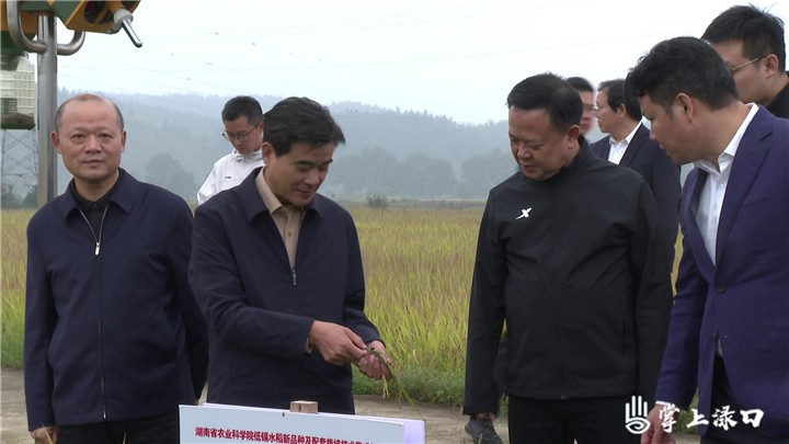 柏连阳院士来渌口区调研图1