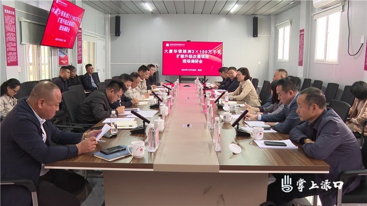 赖晓智调研大唐华银升级改造项目图
