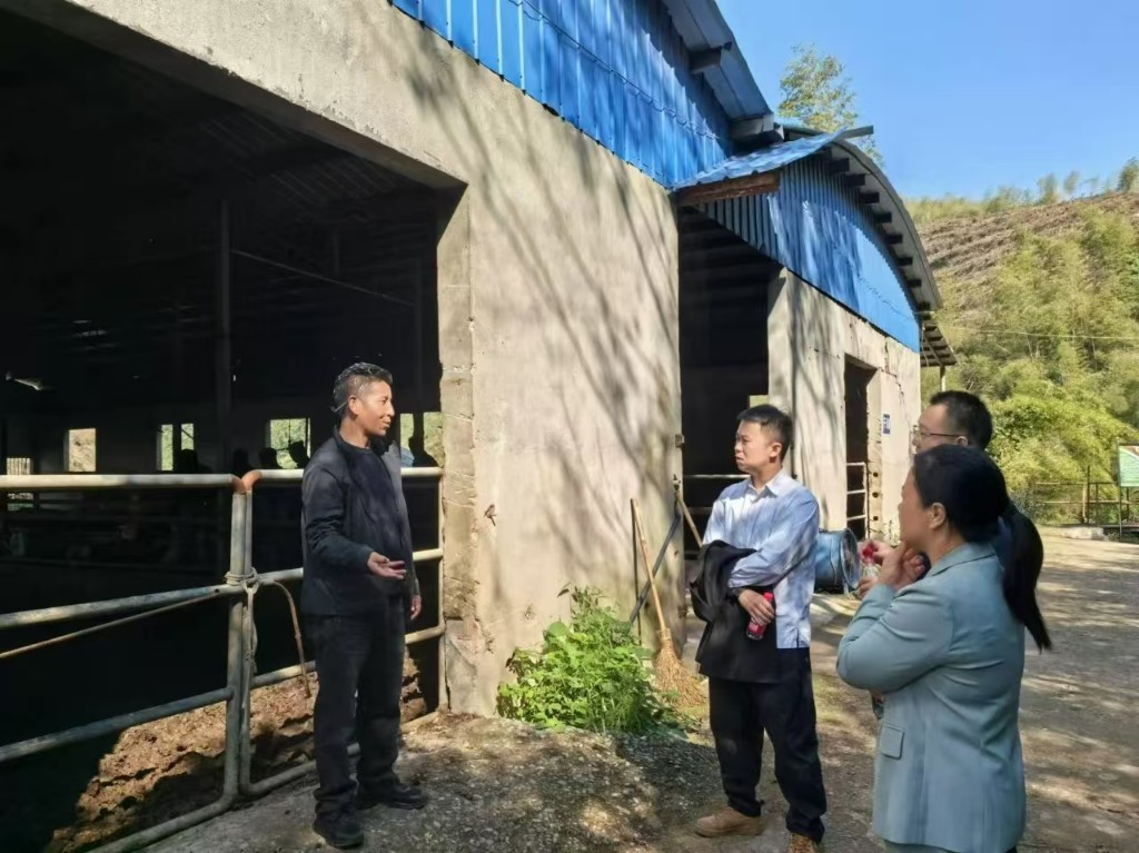 微信图片_20241031100736