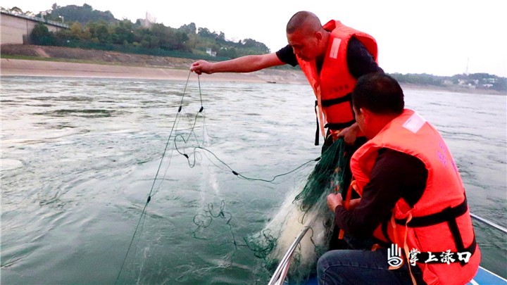 湖南省水生物图1