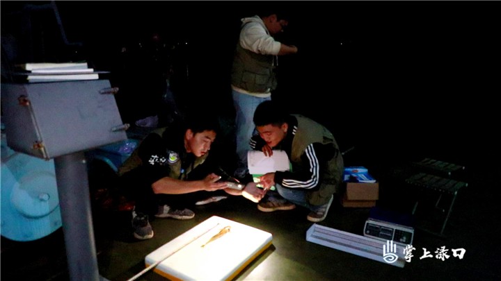 湖南省水生物图3