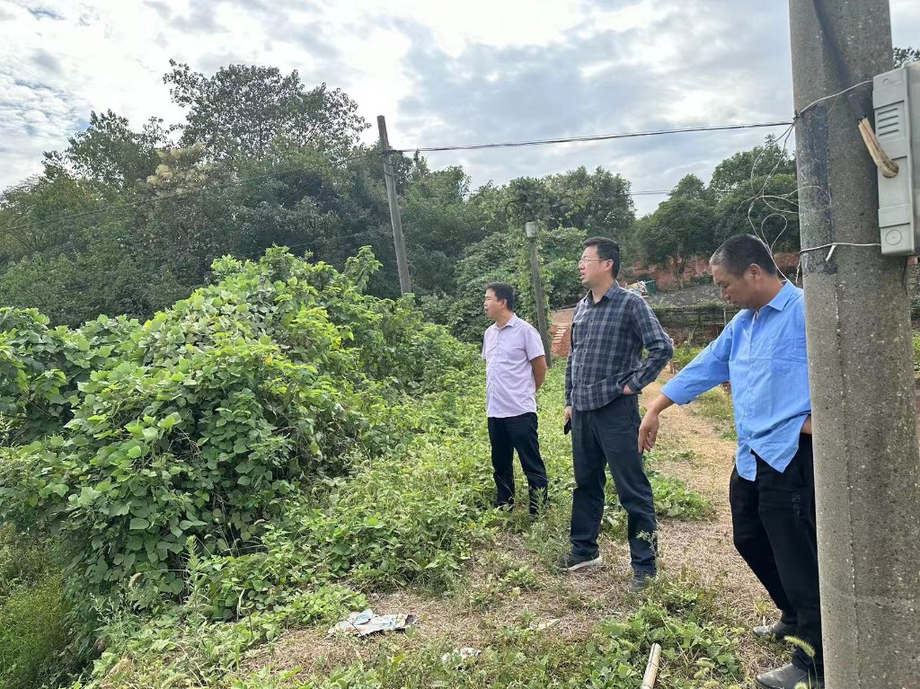 微信图片_20241030160714