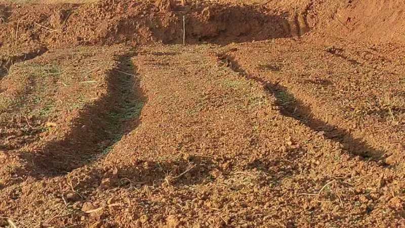 83d09df6f465a221ae90d2480e8d356