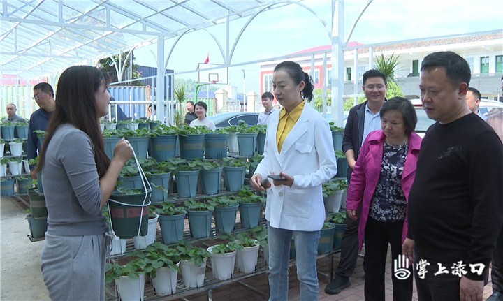 市政协来渌口区调研图2