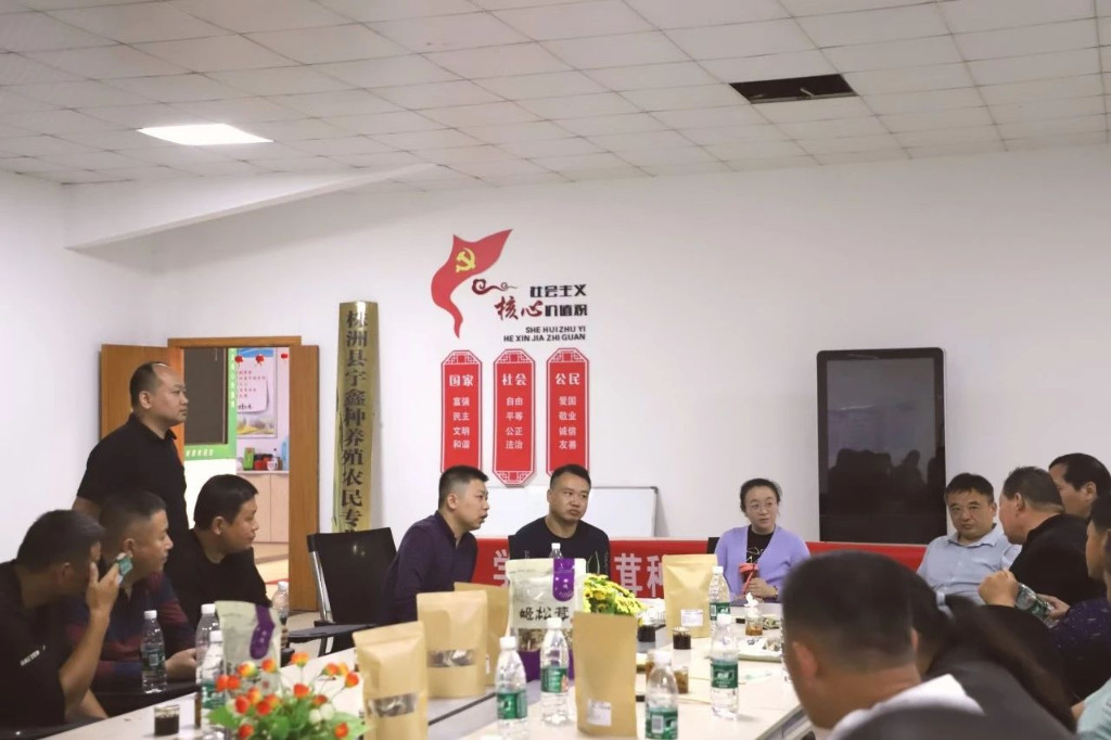 微信图片_20241120133005